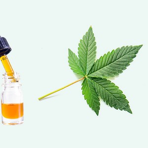 cbd